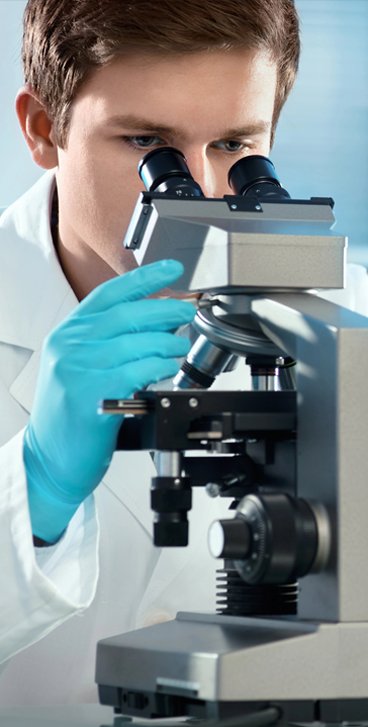 Scientist researching saw palmetto and prostate health under a microscope